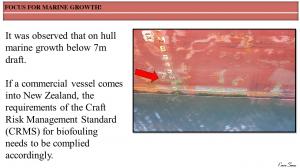 FOCUS FOR MARINE GROWTH! 