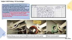 PSC EXPERIENCE IN USA (USCG) 